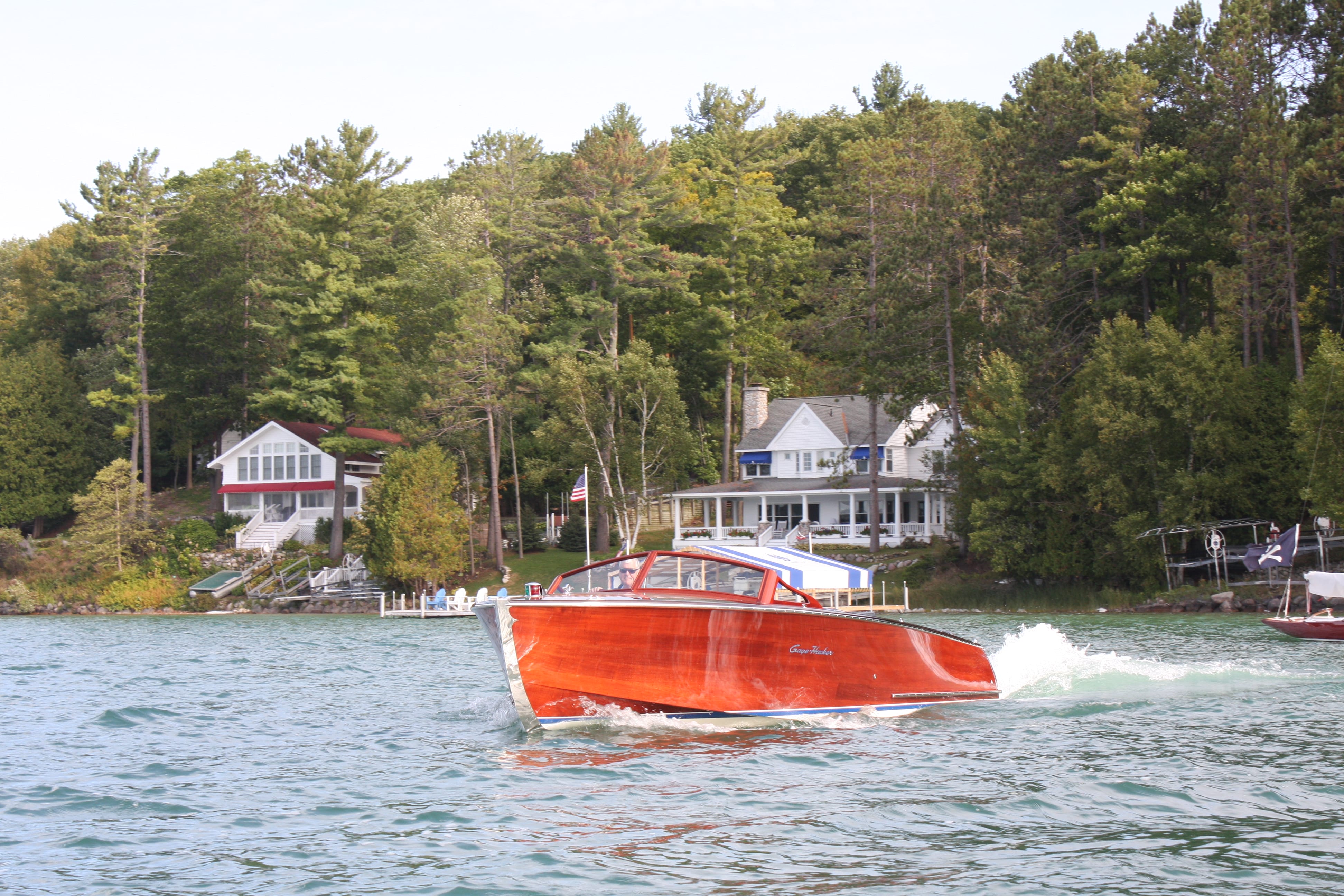 Mahogany beauty, After Five, shining in the sun