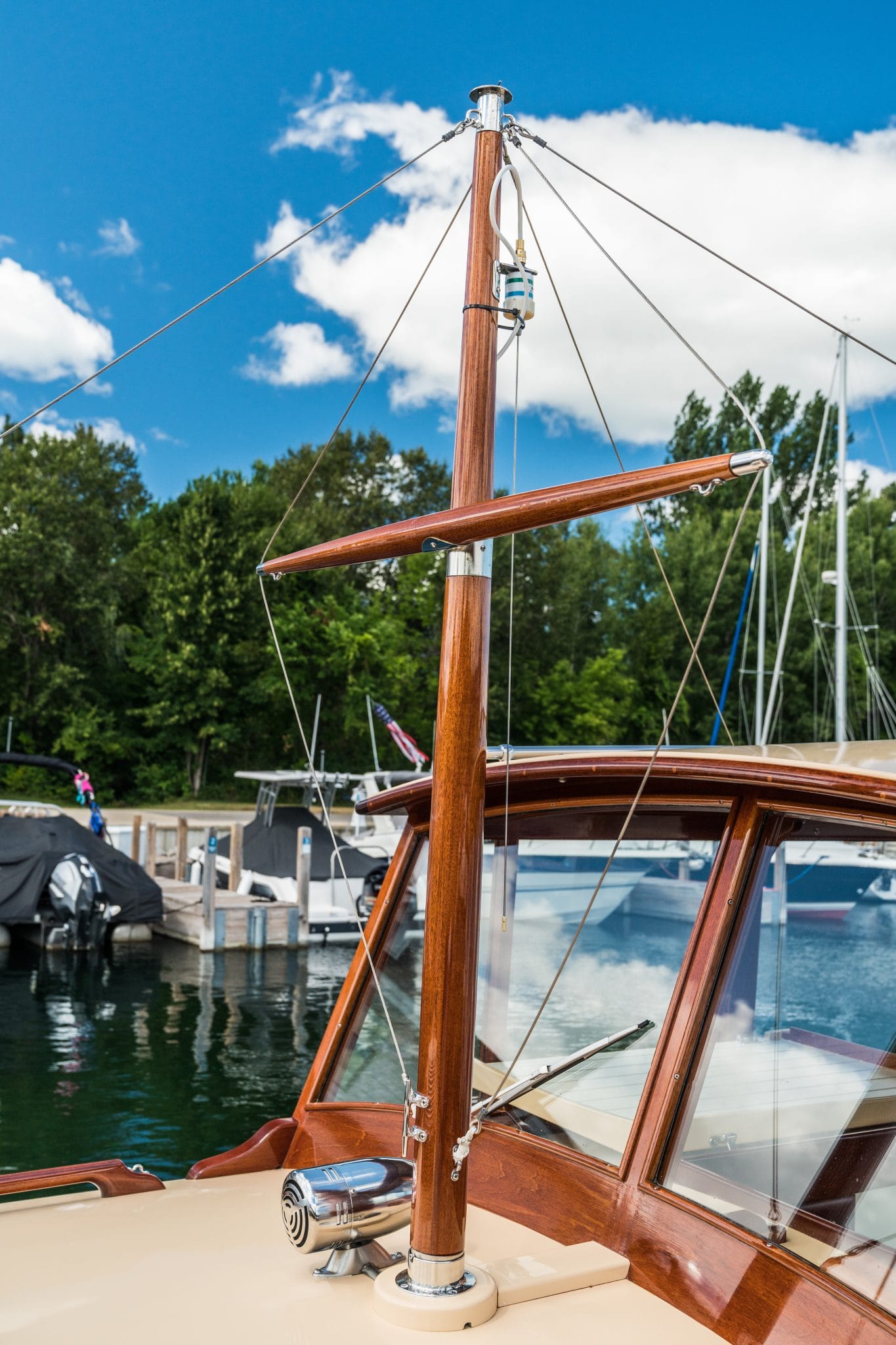 Gorgeous accents on Dragonfly